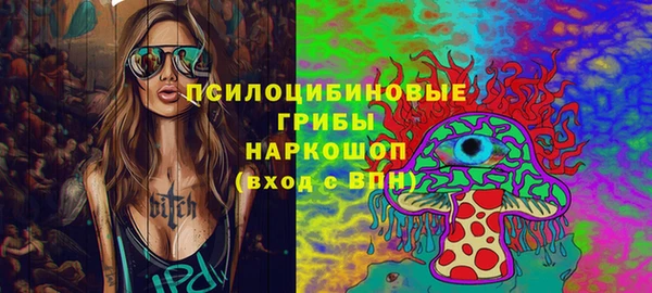соль ск Медвежьегорск
