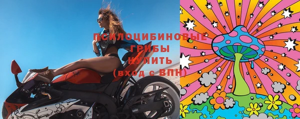 соль ск Медвежьегорск