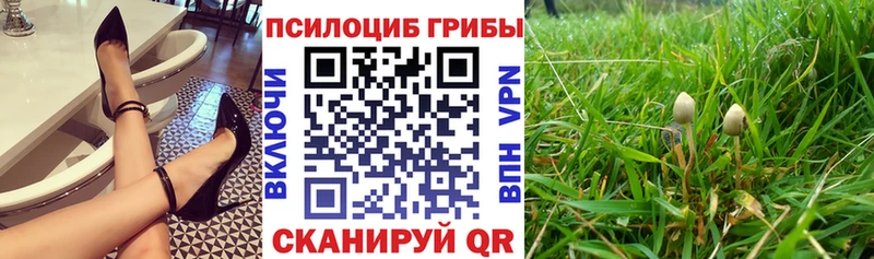 Галлюциногенные грибы Psilocybe  Невельск 